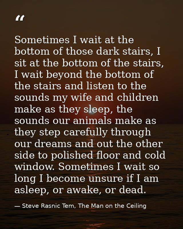 Sometimes I wait at the bottom of those dark stairs, I sit at the bottom of the stairs, I wait beyond the bottom of the  — Steve Rasnic Tem, The Man on the Ceiling