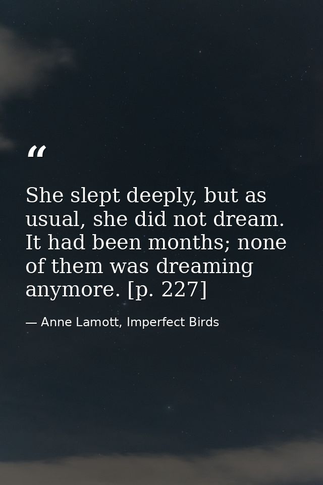 She slept deeply, but as usual, she did not dream. It had been months; none of them was dreaming anymore. [p. 227] — Anne Lamott, Imperfect Birds