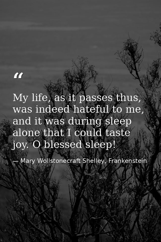 My life, as it passes thus, was indeed hateful to me, and it was during sleep alone that I could taste joy. O blessed sl — Mary Wollstonecraft Shelley, Frankenstein