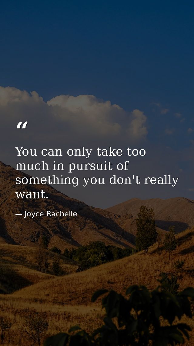 You can only take too much in pursuit of something you don't really want. — Joyce Rachelle