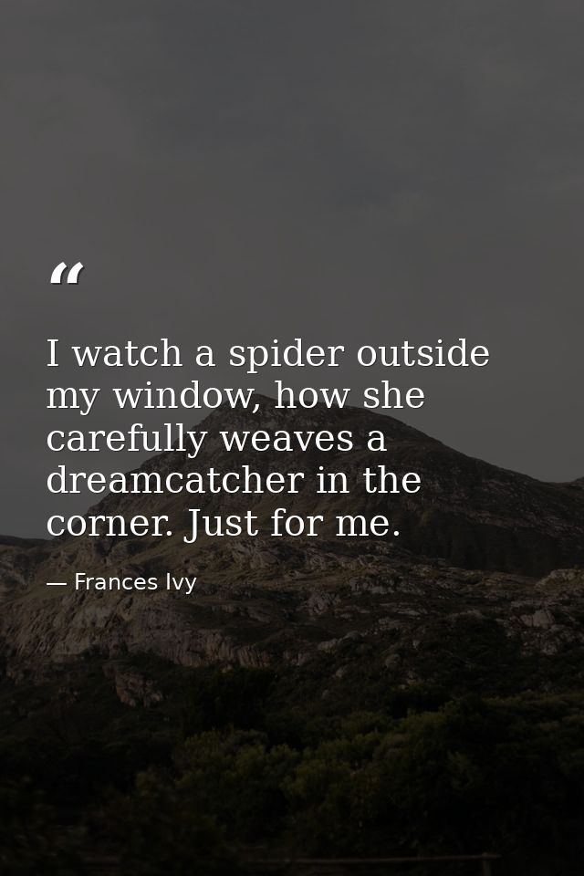 I watch a spider outside my window, how she carefully weaves a dreamcatcher in the corner. Just for me. — Frances Ivy