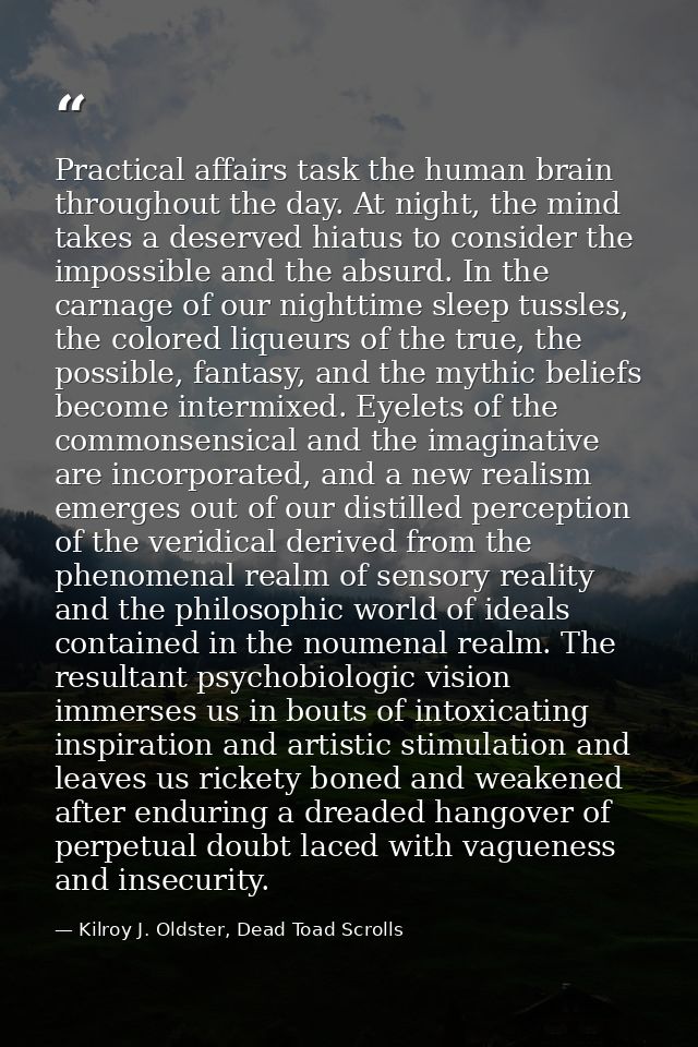 Practical affairs task the human brain throughout the day. At night, the mind takes a deserved hiatus to consider the im — Kilroy J. Oldster, Dead Toad Scrolls
