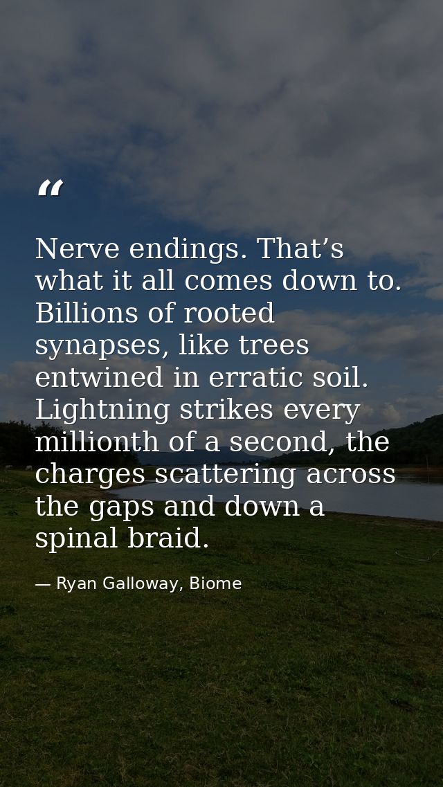 Nerve endings. That’s what it all comes down to. Billions of rooted synapses, like trees entwined in erratic soil. Light — Ryan Galloway, Biome