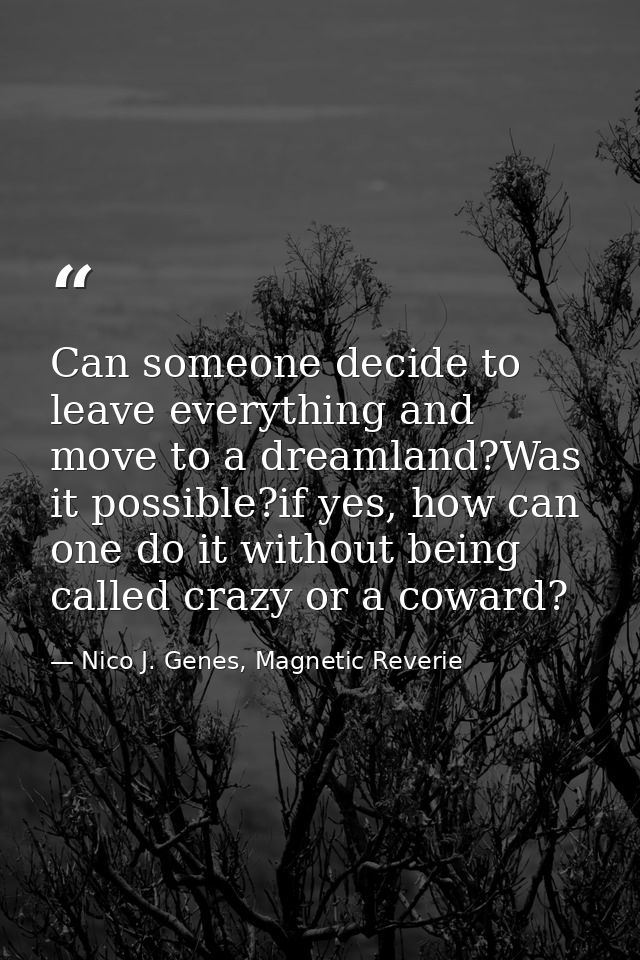 Can someone decide to leave everything and move to a dreamland?Was it possible?if yes, how can one do it without being c — Nico J. Genes, Magnetic Reverie