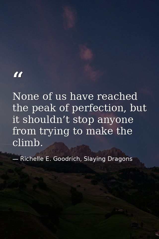 None of us have reached the peak of perfection, but it shouldn’t stop anyone from trying to make the climb. — Richelle E. Goodrich, Slaying Dragons