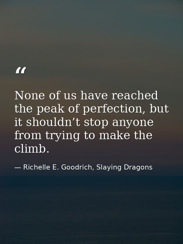 None of us have reached the peak of perfection, but it shouldn’t stop anyone from trying to make the climb. — Richelle E. Goodrich, Slaying Dragons