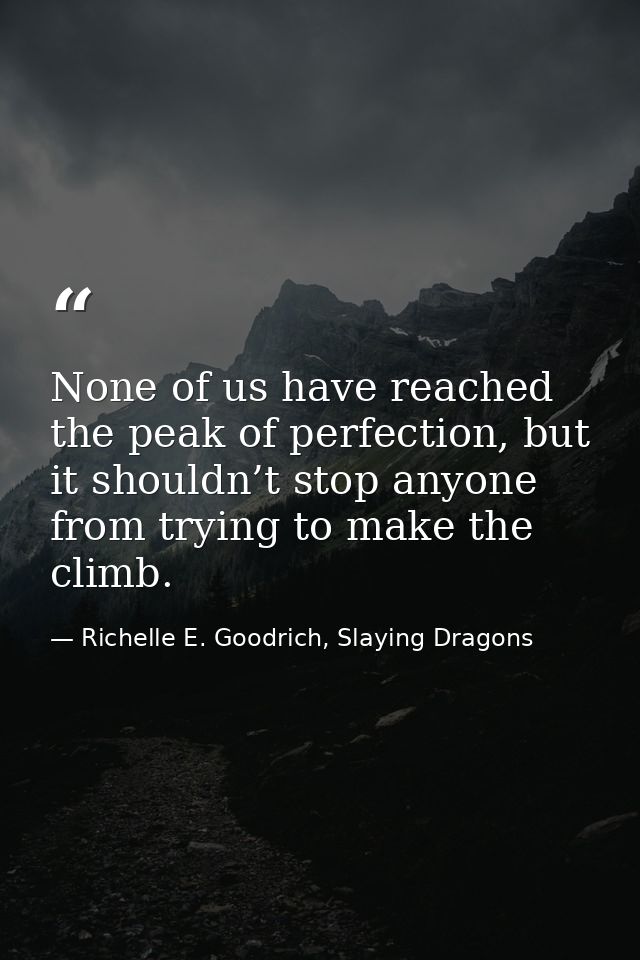 None of us have reached the peak of perfection, but it shouldn’t stop anyone from trying to make the climb. — Richelle E. Goodrich, Slaying Dragons