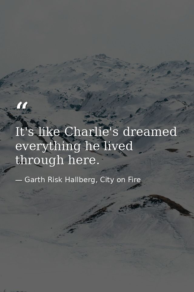 It's like Charlie's dreamed everything he lived through here. — Garth Risk Hallberg, City on Fire