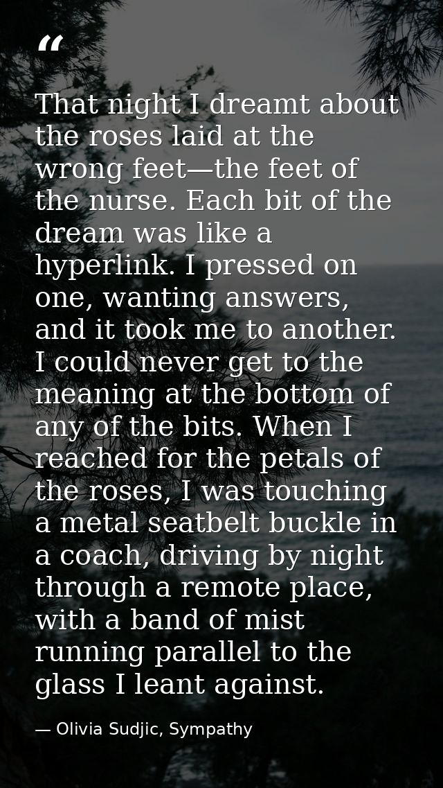 That night I dreamt about the roses laid at the wrong feet—the feet of the nurse. Each bit of the dream was like a hyper — Olivia Sudjic, Sympathy