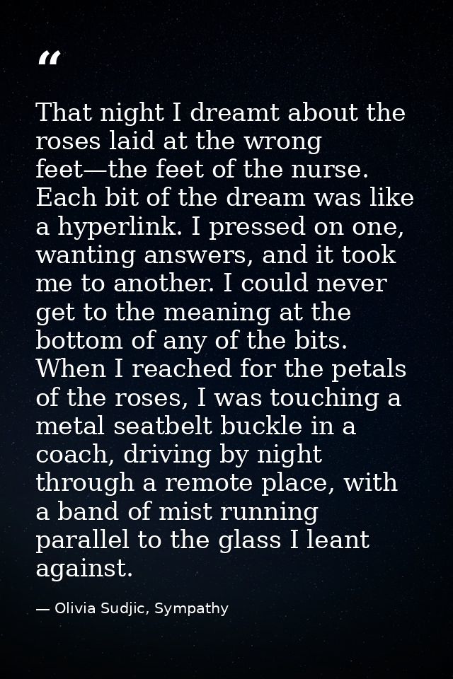 That night I dreamt about the roses laid at the wrong feet—the feet of the nurse. Each bit of the dream was like a hyper — Olivia Sudjic, Sympathy