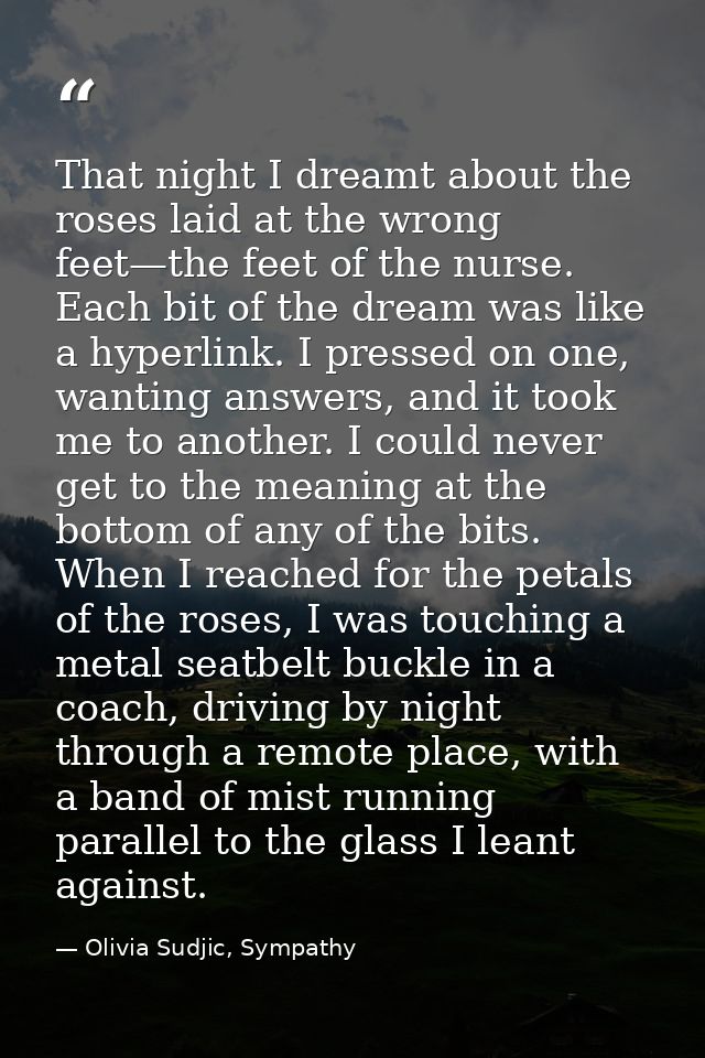 That night I dreamt about the roses laid at the wrong feet—the feet of the nurse. Each bit of the dream was like a hyper — Olivia Sudjic, Sympathy