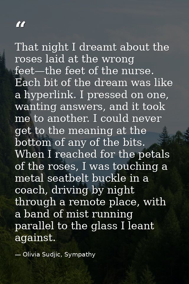 That night I dreamt about the roses laid at the wrong feet—the feet of the nurse. Each bit of the dream was like a hyper — Olivia Sudjic, Sympathy
