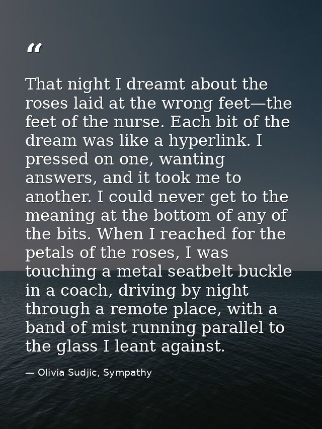 That night I dreamt about the roses laid at the wrong feet—the feet of the nurse. Each bit of the dream was like a hyper — Olivia Sudjic, Sympathy