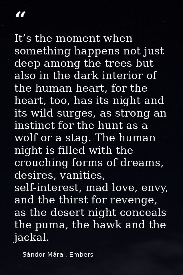 It’s the moment when something happens not just deep among the trees but also in the dark interior of the human heart, f — Sándor Márai, Embers