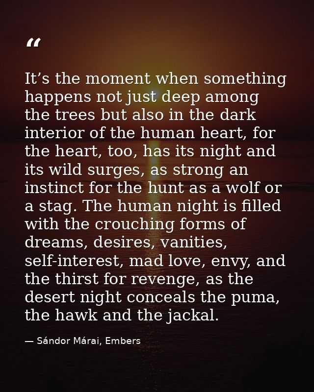 It’s the moment when something happens not just deep among the trees but also in the dark interior of the human heart, f — Sándor Márai, Embers