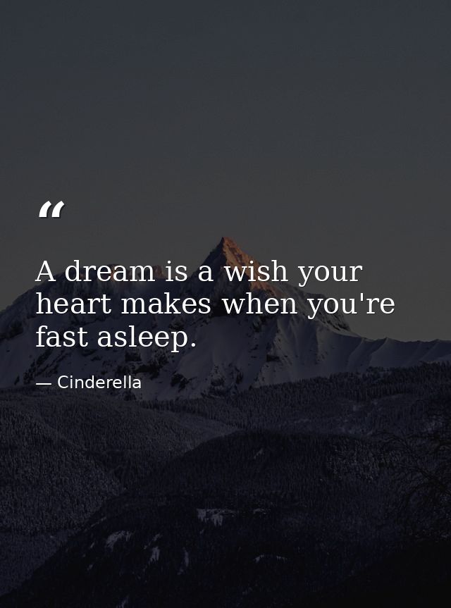 A dream is a wish your heart makes when you're fast asleep. — Cinderella