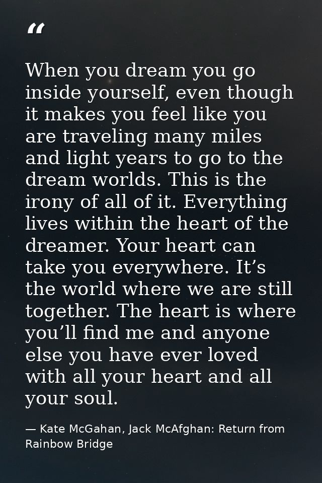 When you dream you go inside yourself, even though it makes you feel like you are traveling many miles and light years t — Kate McGahan, Jack McAfghan: Return from Rainbow Bridge