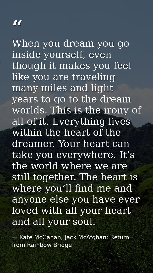 When you dream you go inside yourself, even though it makes you feel like you are traveling many miles and light years t — Kate McGahan, Jack McAfghan: Return from Rainbow Bridge