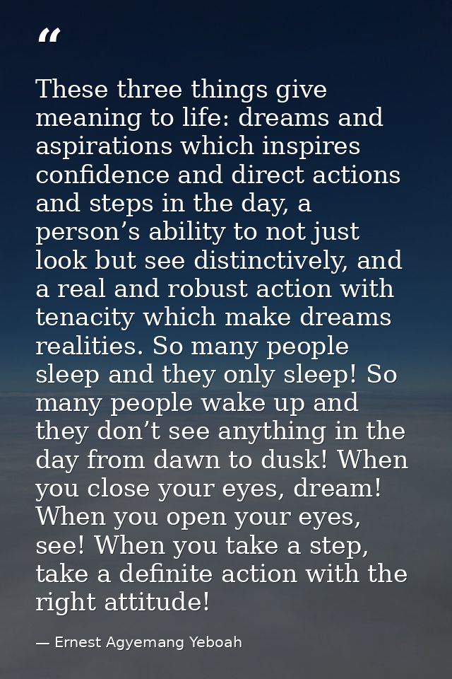 These three things give meaning to life: dreams and aspirations which inspires confidence and direct actions and steps i — Ernest Agyemang Yeboah