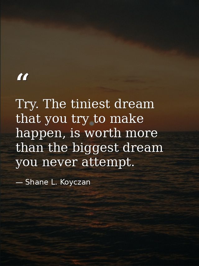 Try. The tiniest dream that you try to make happen, is worth more than the biggest dream you never attempt. — Shane L. Koyczan