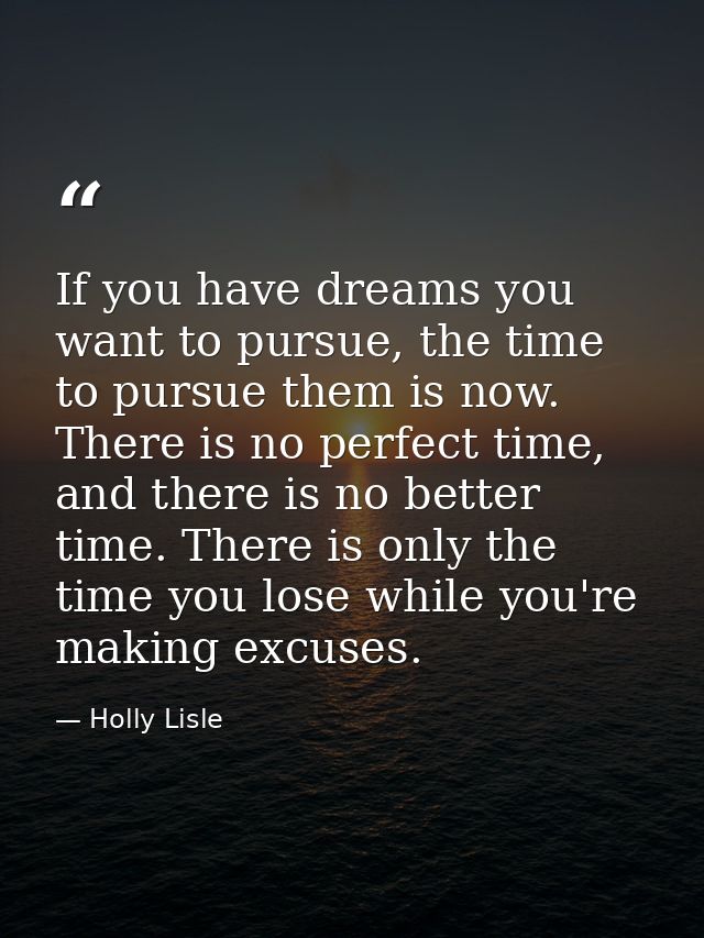 If you have dreams you want to pursue, the time to pursue them is now. There is no perfect time, and there is no better  — Holly Lisle