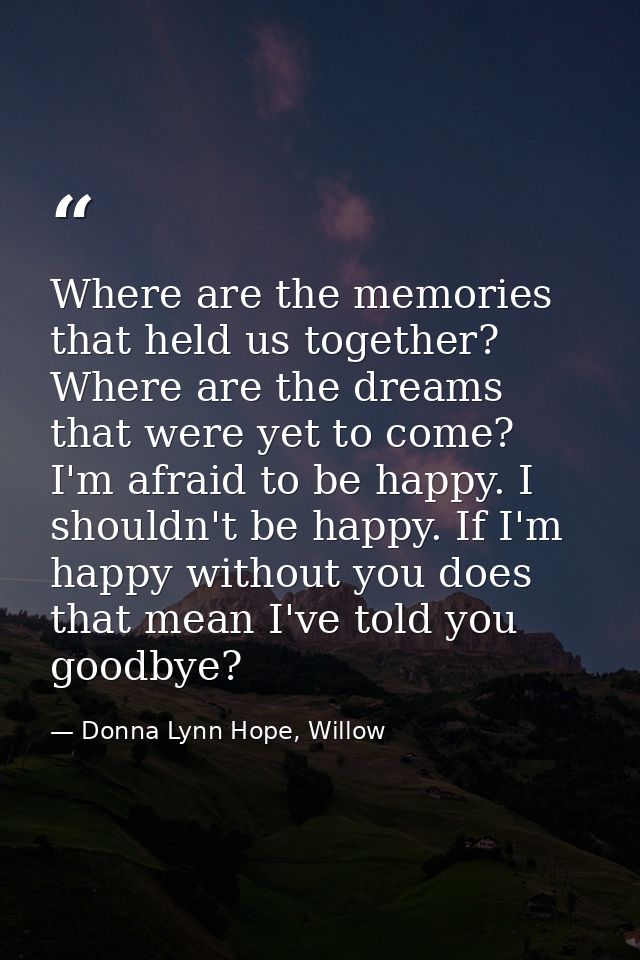Where are the memories that held us together? Where are the dreams that were yet to come? I'm afraid to be happy. I shou — Donna Lynn Hope, Willow