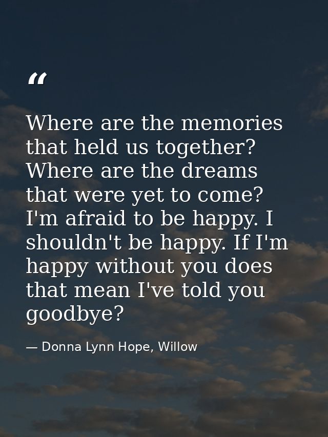 Where are the memories that held us together? Where are the dreams that were yet to come? I'm afraid to be happy. I shou — Donna Lynn Hope, Willow