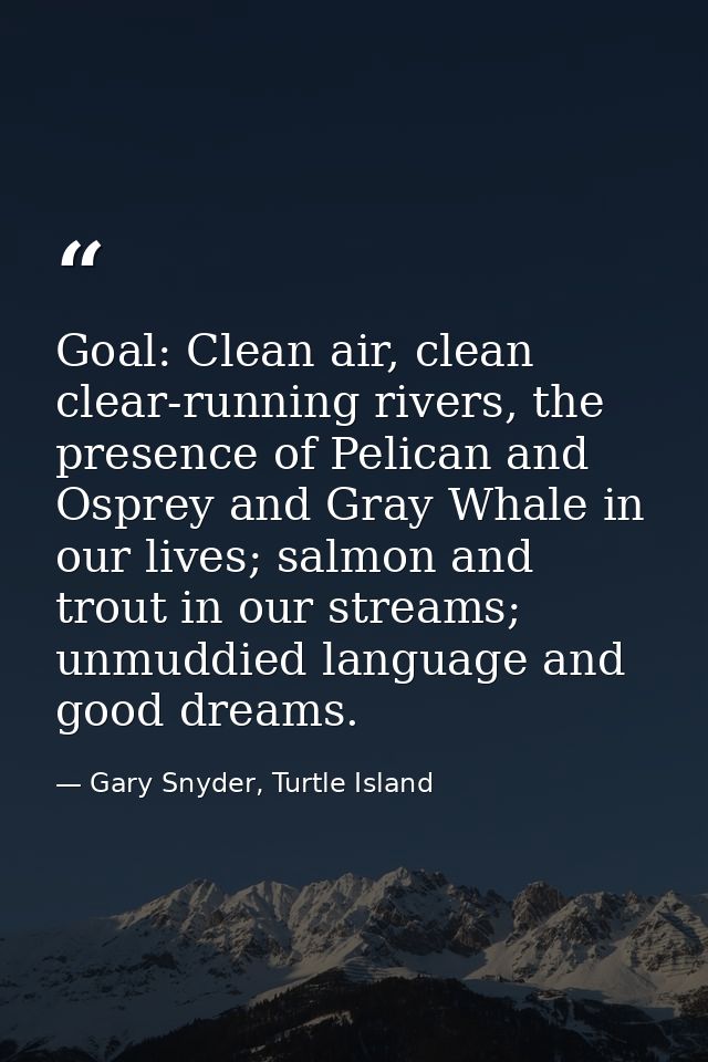 Goal: Clean air, clean clear-running rivers, the presence of Pelican and Osprey and Gray Whale in our lives; salmon and  — Gary Snyder, Turtle Island