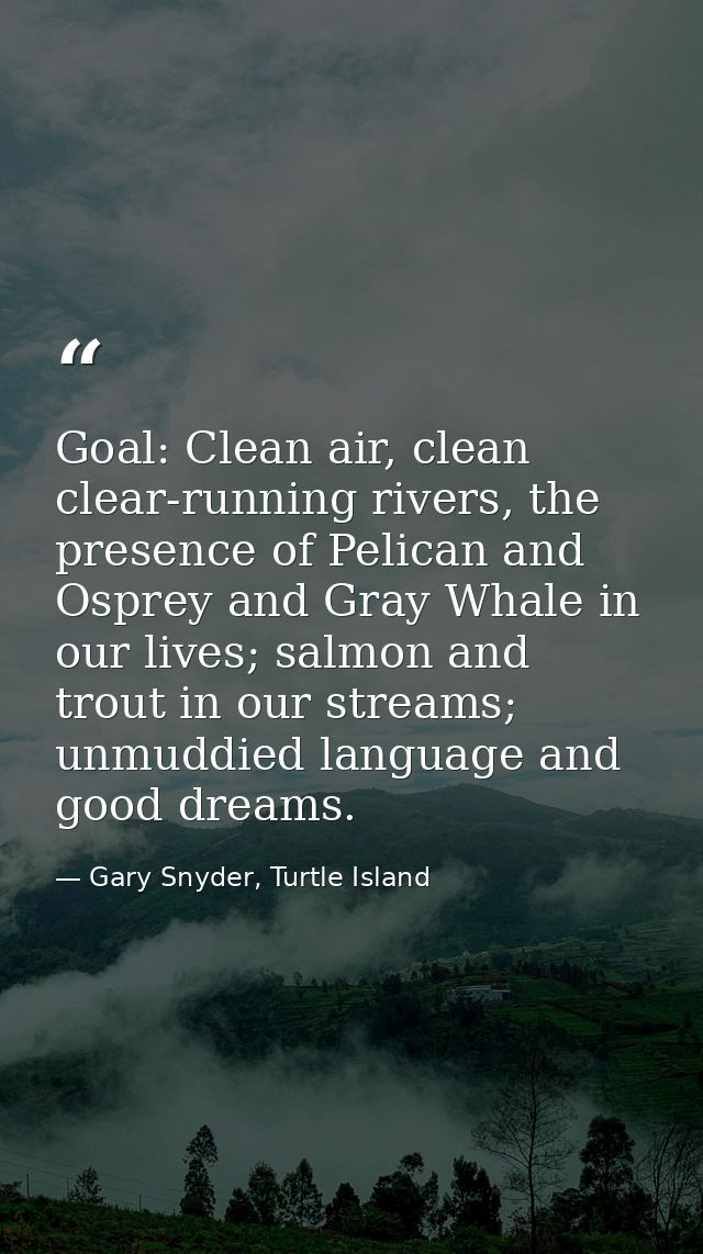 Goal: Clean air, clean clear-running rivers, the presence of Pelican and Osprey and Gray Whale in our lives; salmon and  — Gary Snyder, Turtle Island