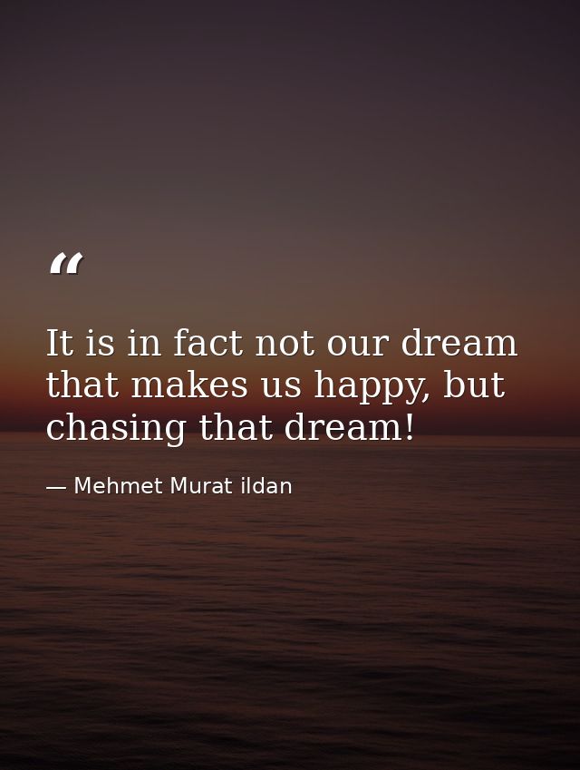 It is in fact not our dream that makes us happy, but chasing that dream! — Mehmet Murat ildan