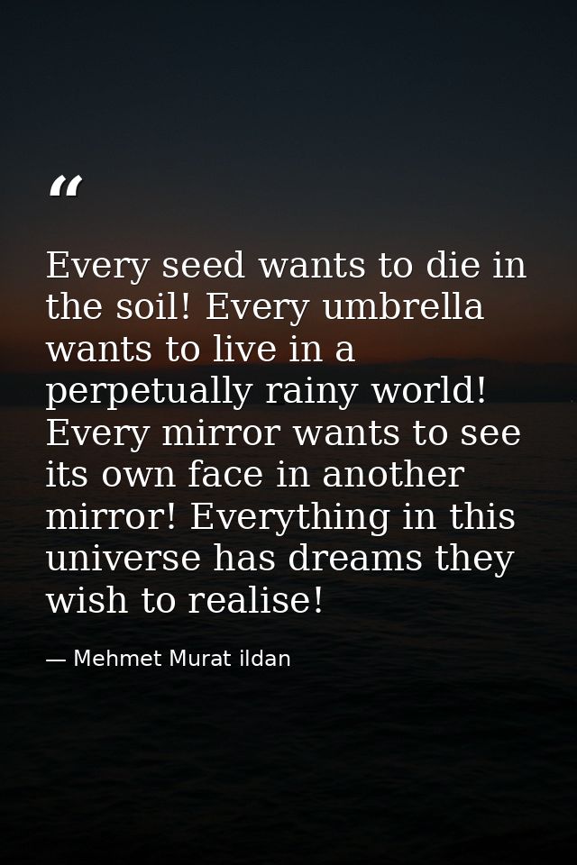 Every seed wants to die in the soil! Every umbrella wants to live in a perpetually rainy world! Every mirror wants to se — Mehmet Murat ildan