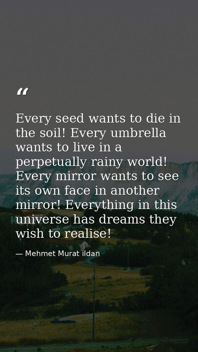 Every seed wants to die in the soil! Every umbrella wants to live in a perpetually rainy world! Every mirror wants to se — Mehmet Murat ildan