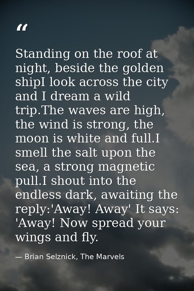 Standing on the roof at night, beside the golden shipI look across the city and I dream a wild trip.The waves are high,  — Brian Selznick, The Marvels