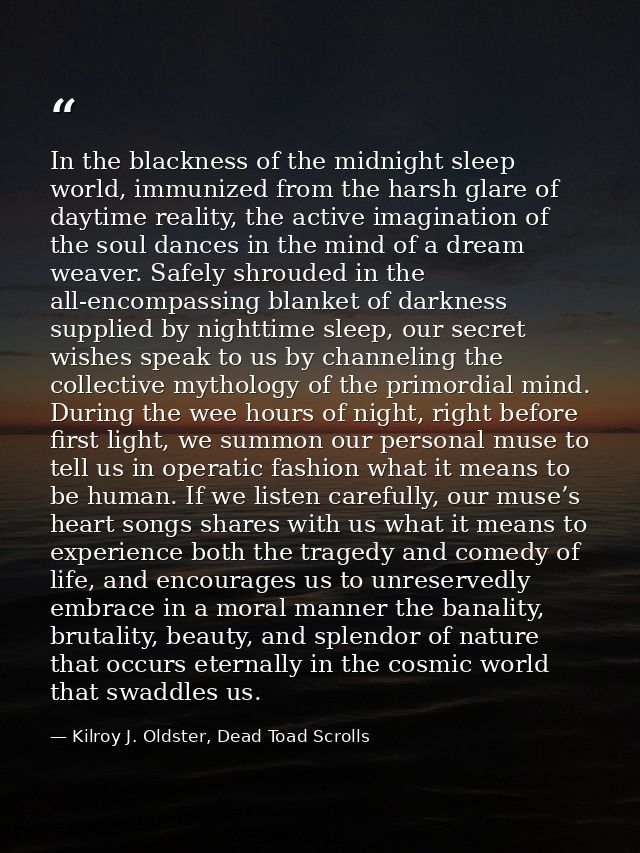 In the blackness of the midnight sleep world, immunized from the harsh glare of daytime reality, the active imagination  — Kilroy J. Oldster, Dead Toad Scrolls