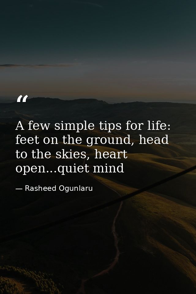 A few simple tips for life: feet on the ground, head to the skies, heart open...quiet mind — Rasheed Ogunlaru