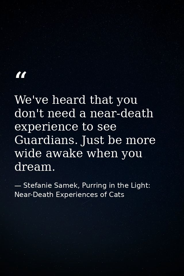 We've heard that you don't need a near-death experience to see Guardians. Just be more wide awake when you dream. — Stefanie Samek, Purring in the Light: Near-Death Experiences of Cats