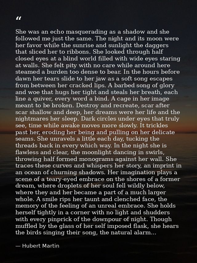 She was an echo masquerading as a shadow and she followed me just the same. The night and its moon were her favor while  — Hubert Martin