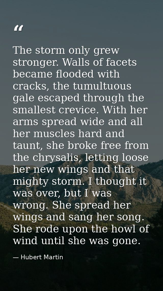 The storm only grew stronger. Walls of facets became flooded with cracks, the tumultuous gale escaped through the smalle — Hubert Martin