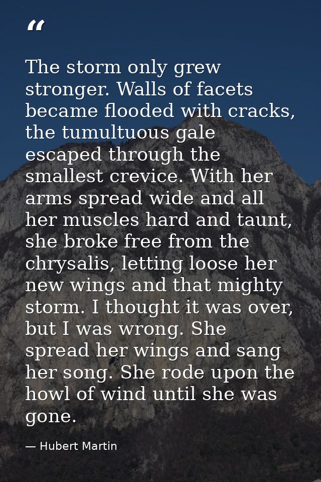 The storm only grew stronger. Walls of facets became flooded with cracks, the tumultuous gale escaped through the smalle — Hubert Martin