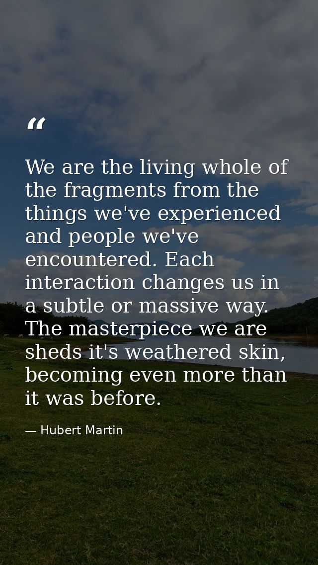 We are the living whole of the fragments from the things we've experienced and people we've encountered. Each interactio — Hubert Martin