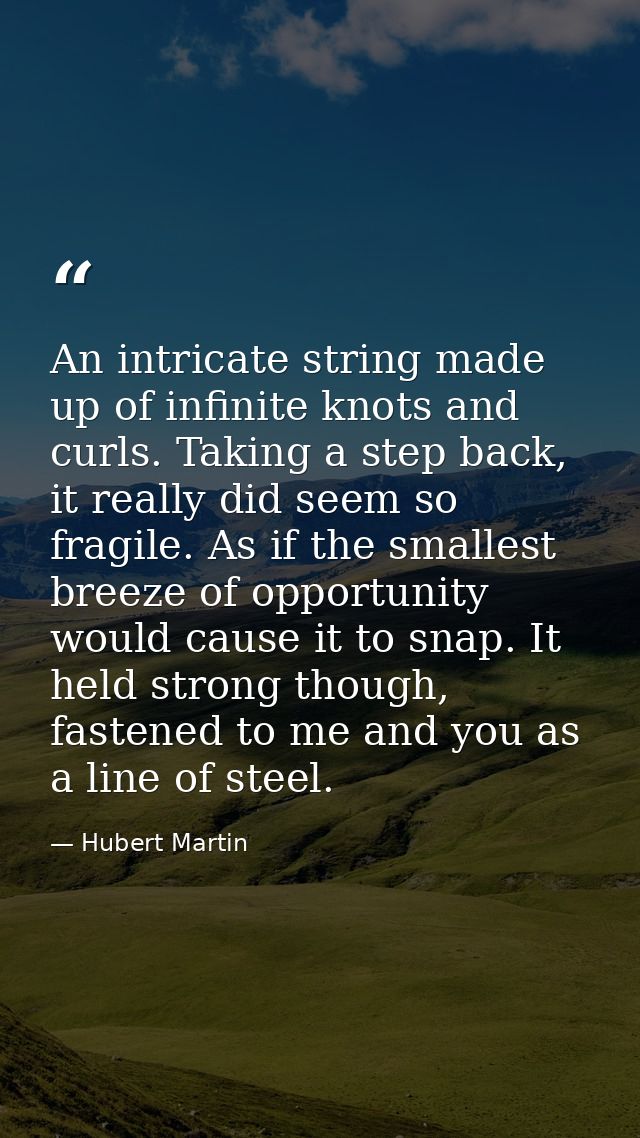 An intricate string made up of infinite knots and curls. Taking a step back, it really did seem so fragile. As if the sm — Hubert Martin