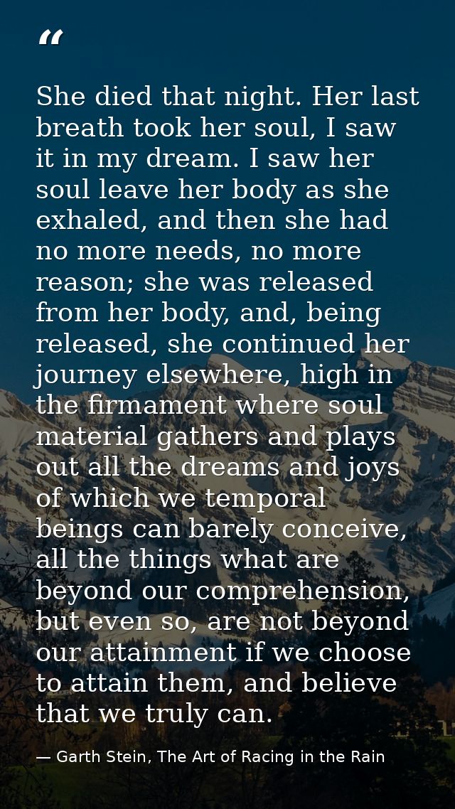 She died that night. Her last breath took her soul, I saw it in my dream. I saw her soul leave her body as she exhaled,  — Garth Stein, The Art of Racing in the Rain