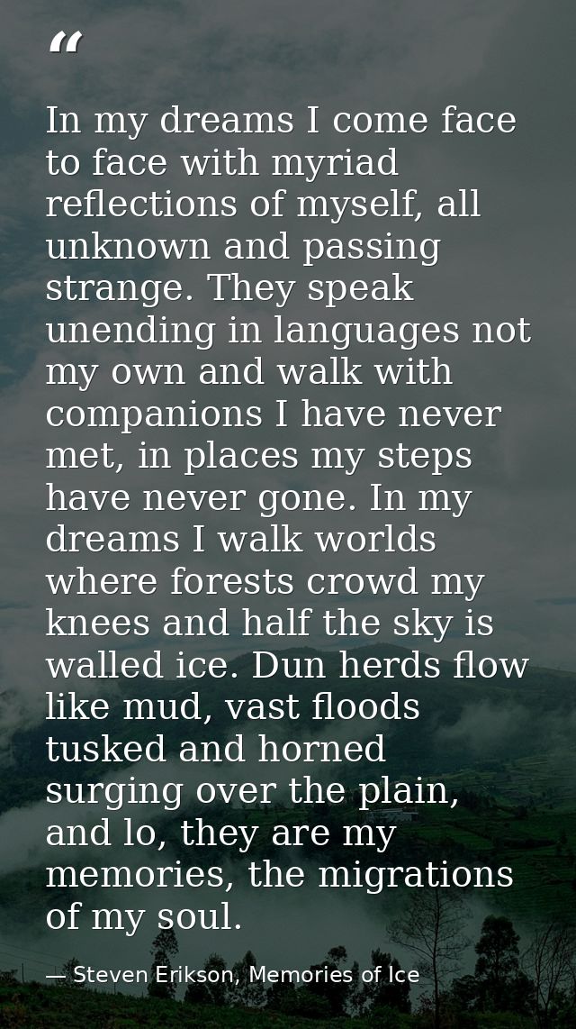 In my dreams I come face to face with myriad reflections of myself, all unknown and passing strange. They speak unending — Steven Erikson, Memories of Ice