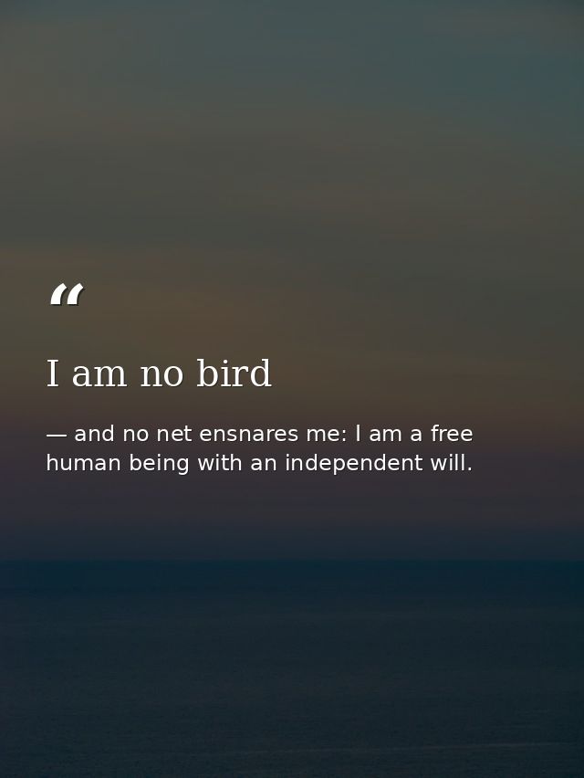 I am no bird — and no net ensnares me: I am a free human being with an independent will.