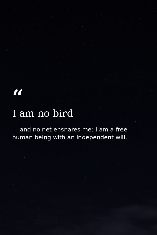 I am no bird — and no net ensnares me: I am a free human being with an independent will.