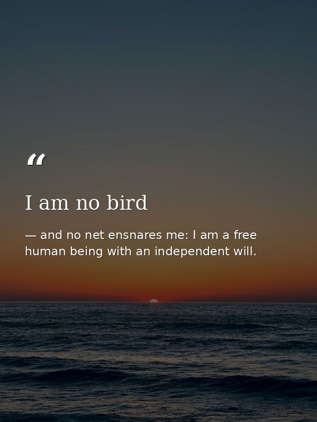 I am no bird — and no net ensnares me: I am a free human being with an independent will.