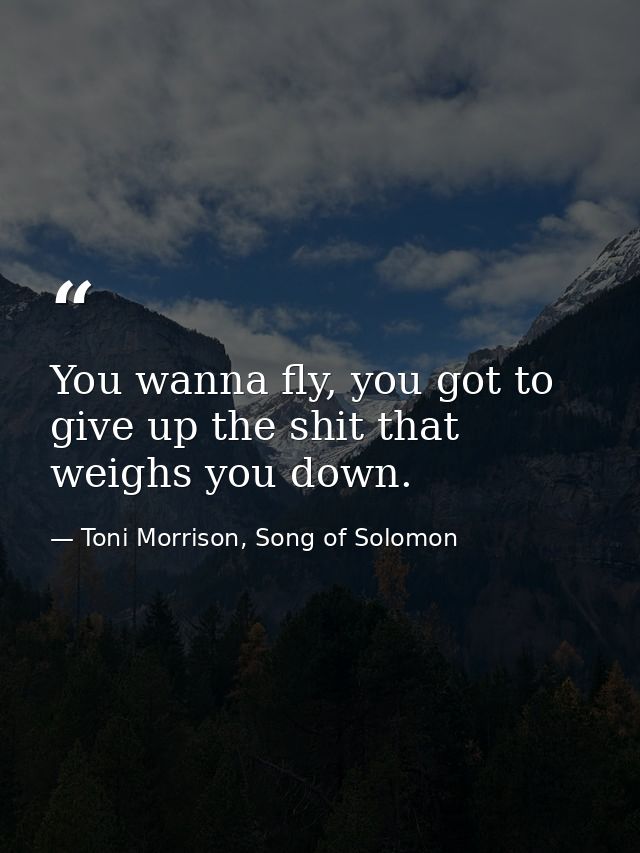 You wanna fly, you got to give up the shit that weighs you down. — Toni Morrison, Song of Solomon