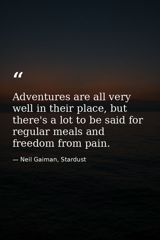 Adventures are all very well in their place, but there's a lot to be said for regular meals and freedom from pain. — Neil Gaiman, Stardust