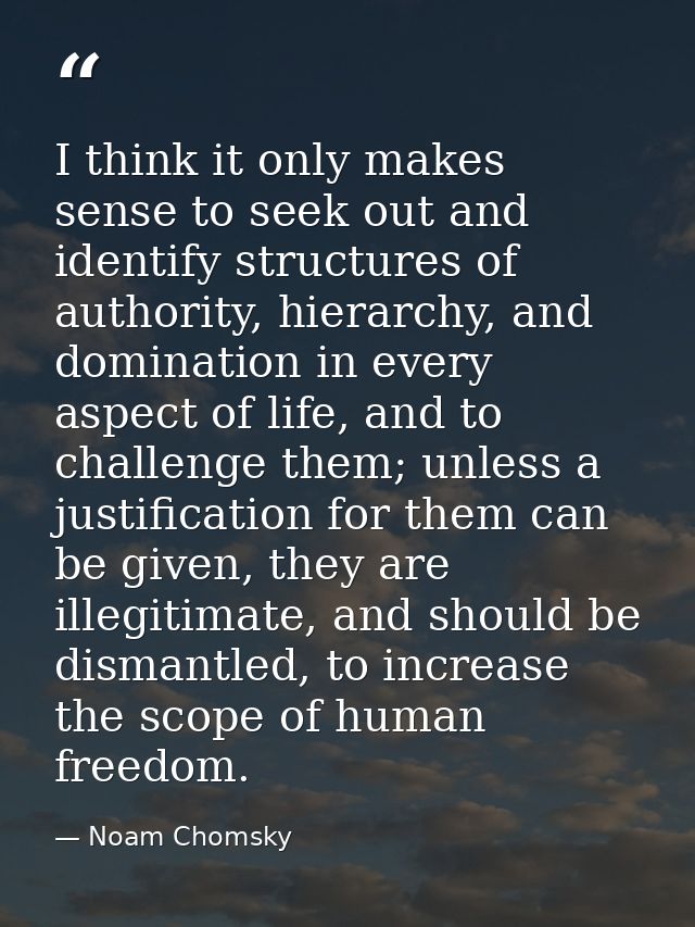 I think it only makes sense to seek out and identify structures of authority, hierarchy, and domination in every aspect  — Noam Chomsky