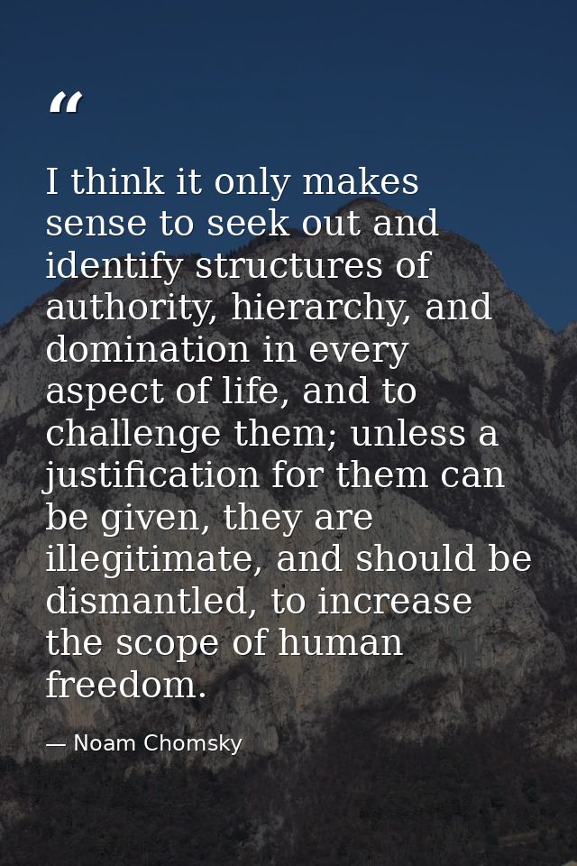 I think it only makes sense to seek out and identify structures of authority, hierarchy, and domination in every aspect  — Noam Chomsky